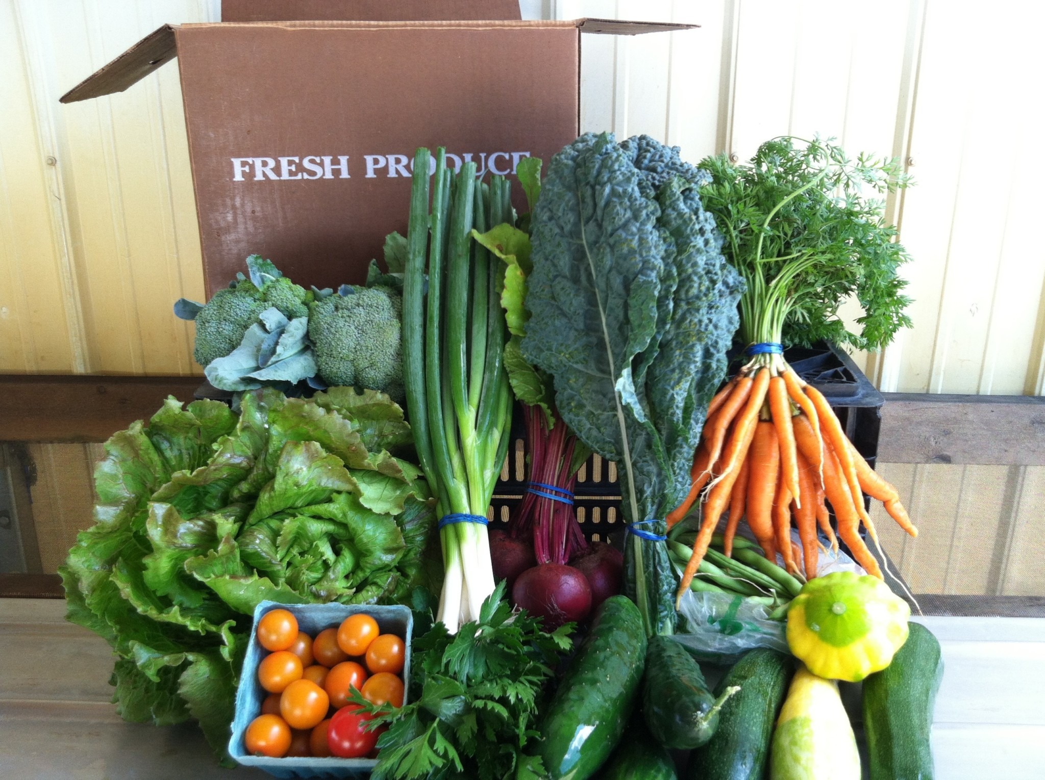 CSA box with green onion carrot cucumber lettuce and other vegetables