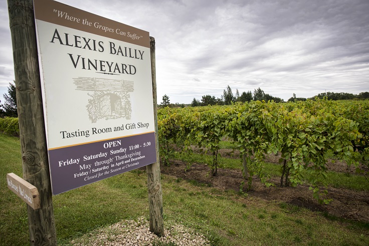 Alexis Bailly winery entrance with sign and vines in the background