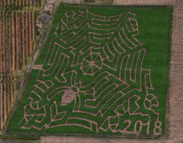 aerial view of spiderweb corn maze