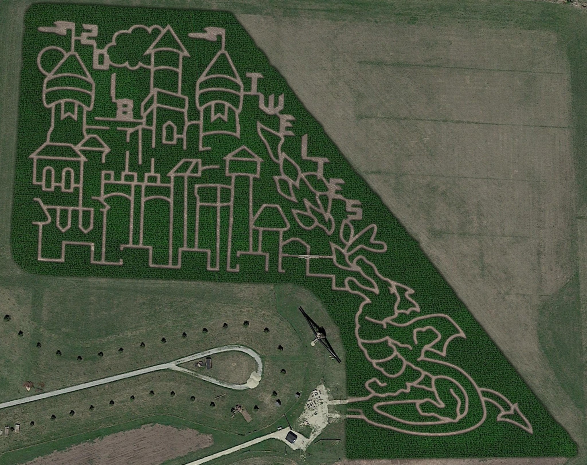 dragon castle corn maze design aerial view
