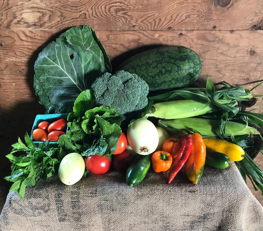 pile of vegetables including peppers, broccoli, corn, and kale