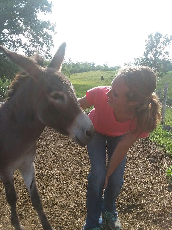woman petting a donkey
