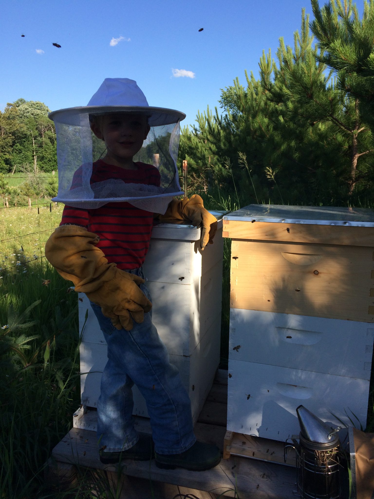 little boy around 7 years old wearing protective bee keeping gear standing by hive boxes