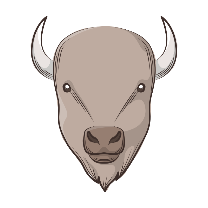 bison face cartoon