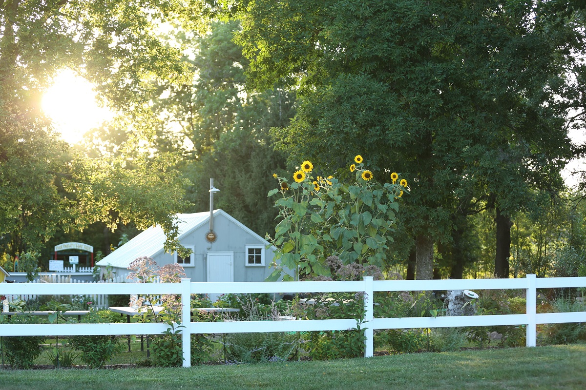 Center Creek Apple Orchard house, fence, and sunflowers