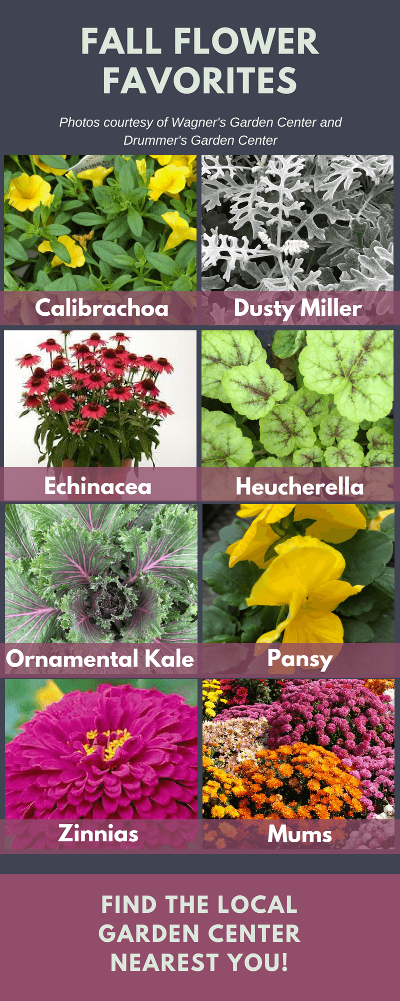 fall flower chart