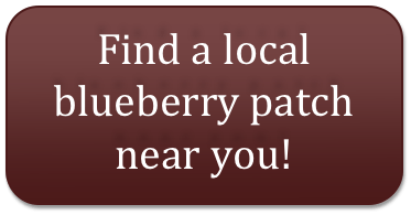 blueberries2