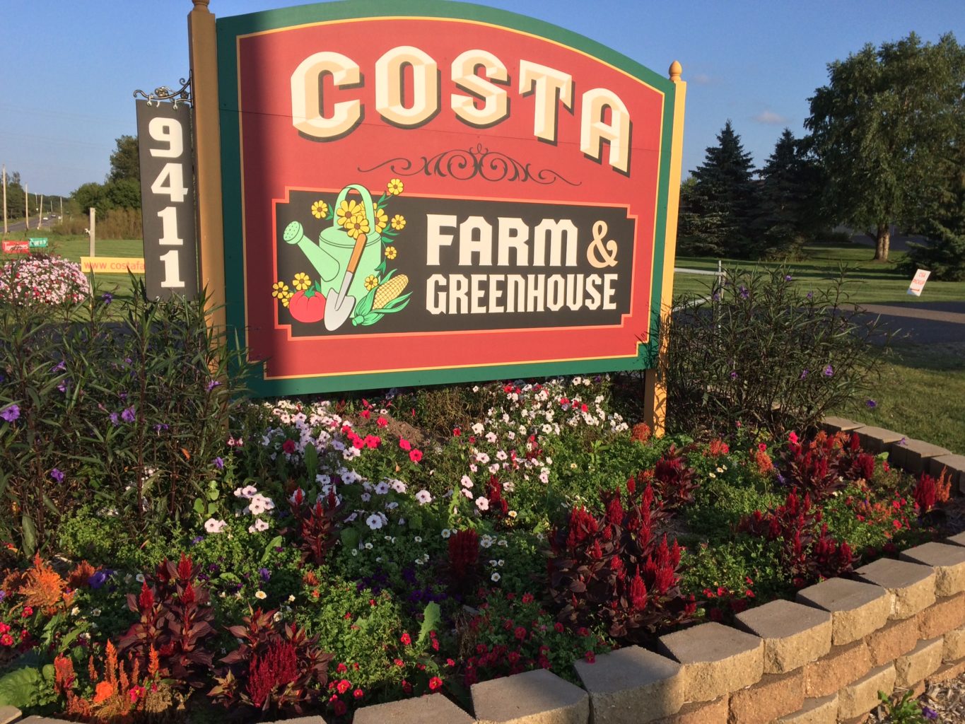Costa farm and greenhouse outdoor sign in a flower bed. Sign design includes a red background, gold lettering, and a corn cob and tomatoe