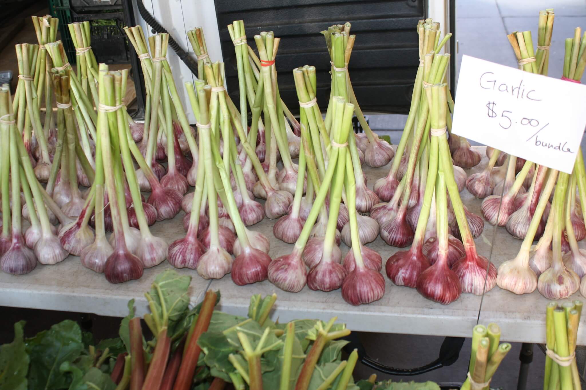 garlic bundles