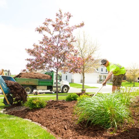 Image of workers doing spring yard maintenance