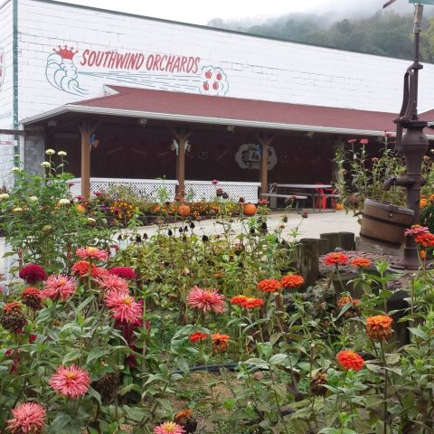 View of the orchard market building with flowers around the driveway and entrance to building