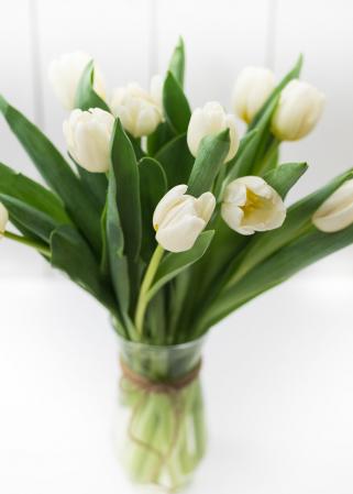 White tulips in a glass vase