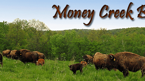 Mooney Creek logo