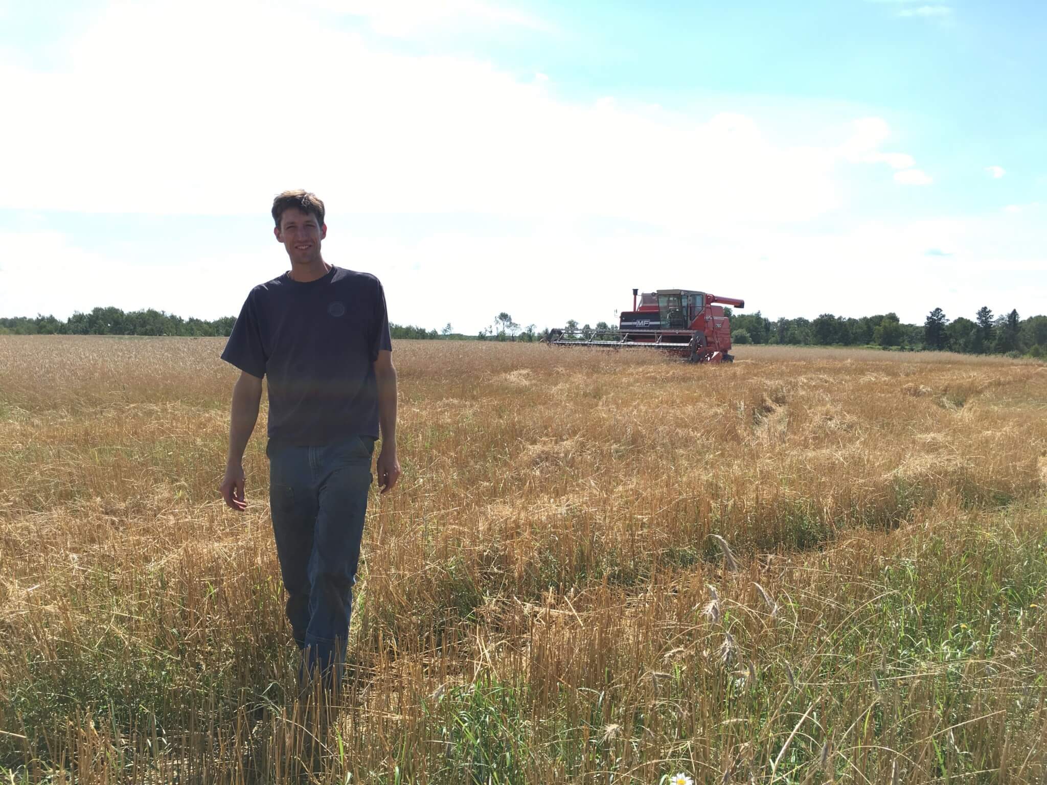 Walking the field with a combine in the back, harvsting wheat or barley