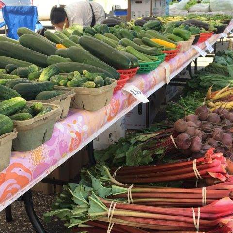 Rhubarb, cucumbers, carrots, peppers and more at a market