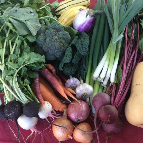 veggies such as carrots, radishes, onions, squash, broccoli and green onion on a table