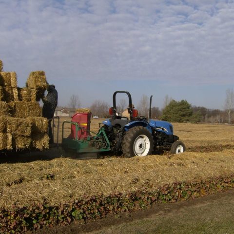 Tractor pulling wagon of straw bales through a field