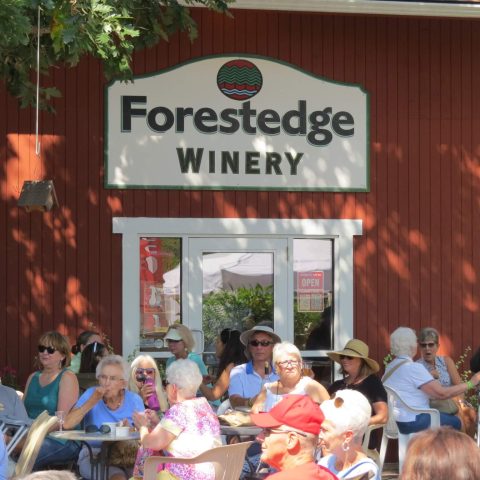 Forestedge Winery outside patio with guests and sign in background.