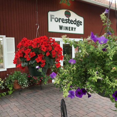 Forestedge Winery flower baskets in front of main building.