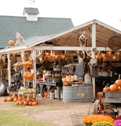 Farm Stand with Pumpkins