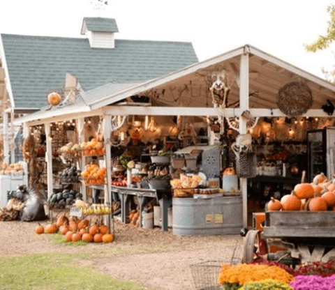 Farm Stand with Pumpkins