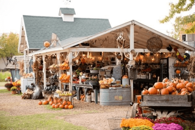 Farm Stand with Pumpkins