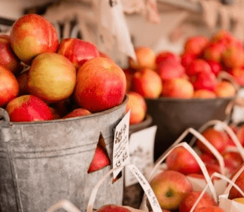 Basket of Apples