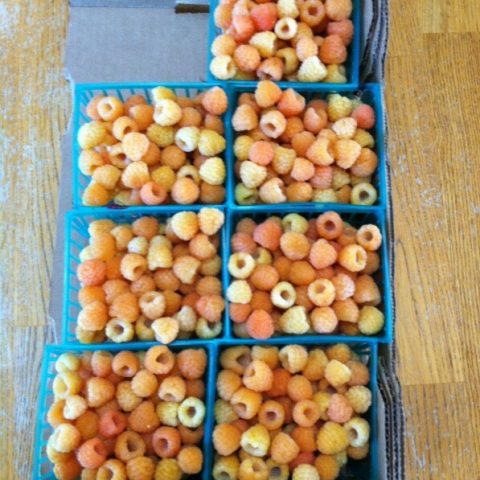 Cartons of white raspberries