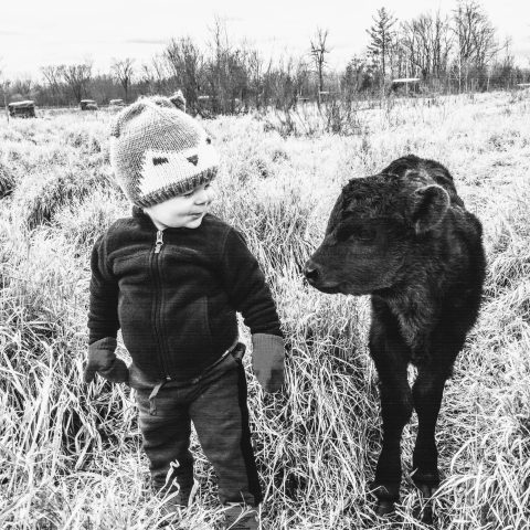 Child with calf, black and white picture