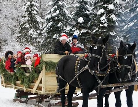 Horse drawn sleigh pulled by two black horses