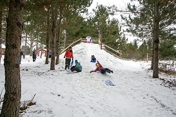 Kids sledding down a small hill
