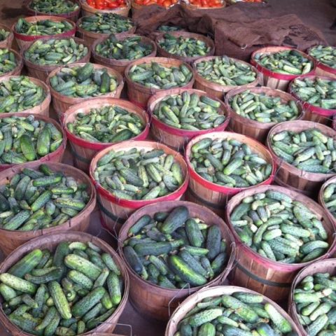 pickle cukes in woodlen buckets