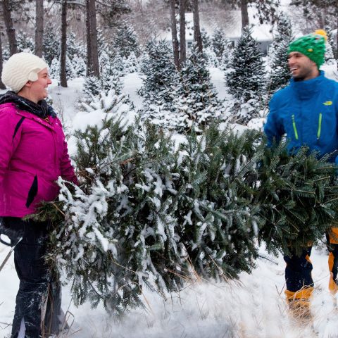 Man and woman holding their cut christmas tree in a snowy pine tree grove