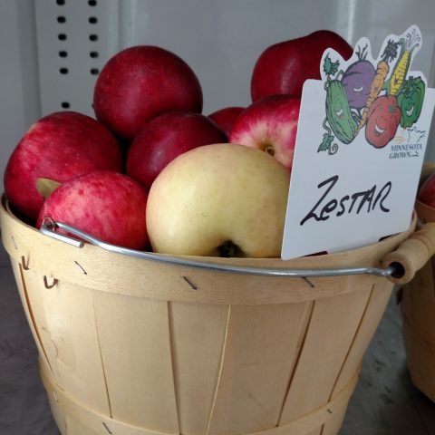 Zestar apples in a tan bucket