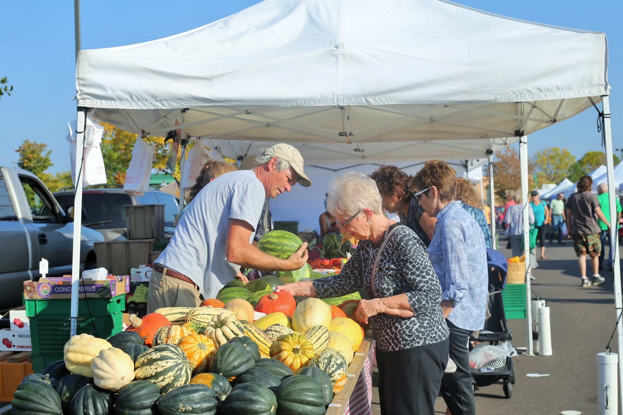 2018 02 22 Submitted Maple Grove Farmers Market melons | Minnesota Grown