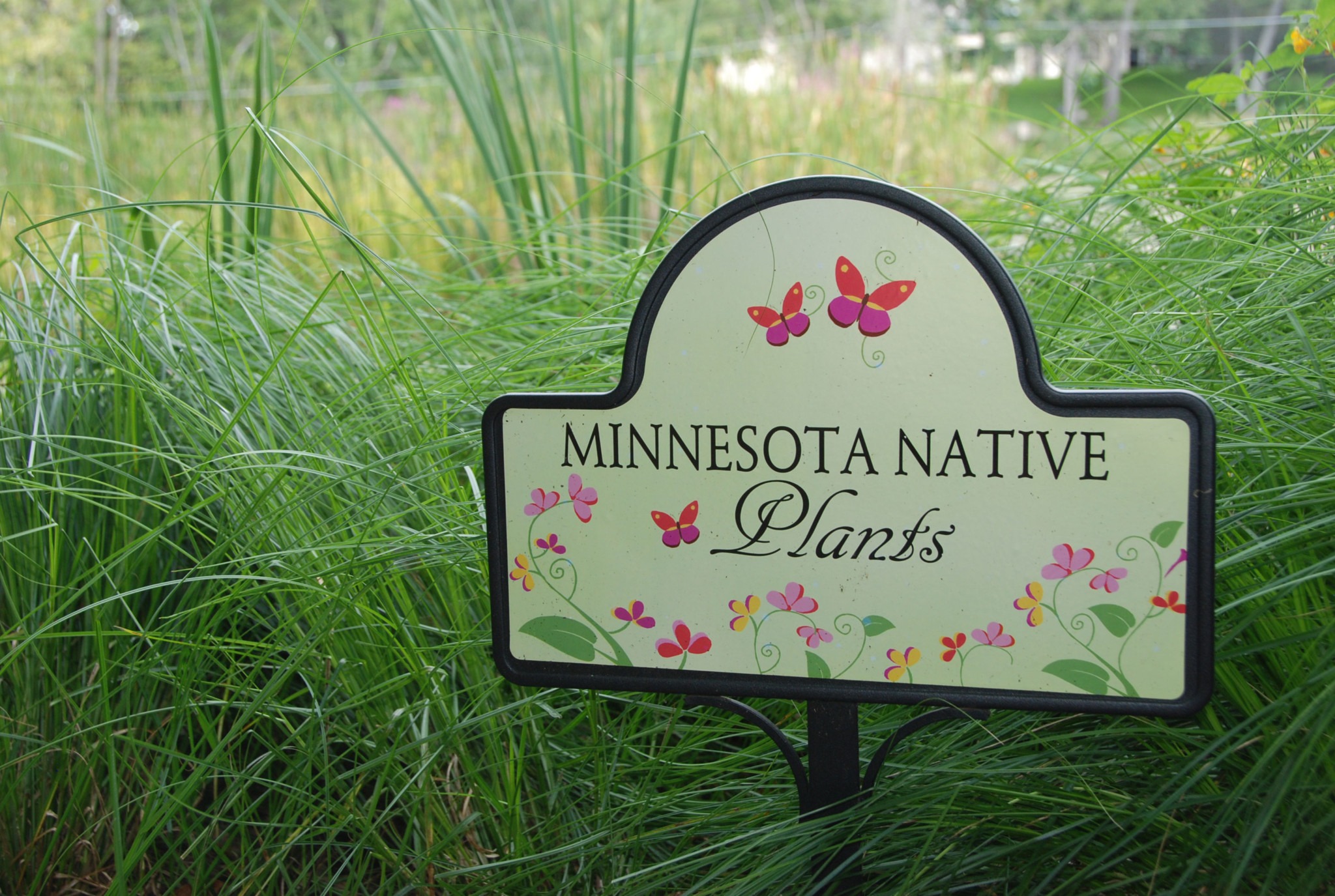 2018 02 22 Submitted Natural S Technologies Native Plant Nursery Minnesota Native Plants Sign