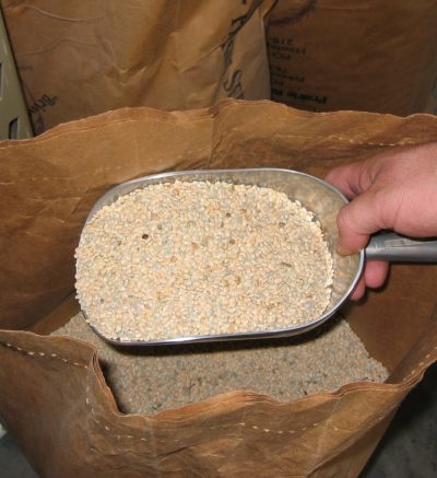Lupine seeds in a brown bag, held in a silver scoop