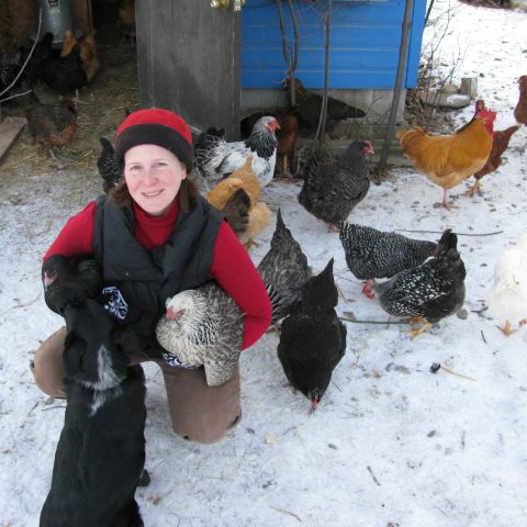 boy kneeling down to chickens in the snow
