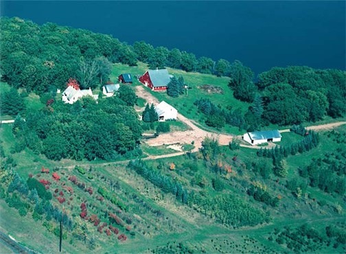 Aerial view of the farm and forest