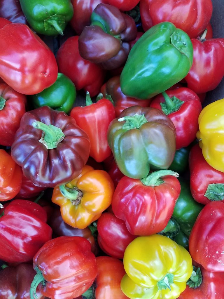 delicious red, purple, green, and yello peppers