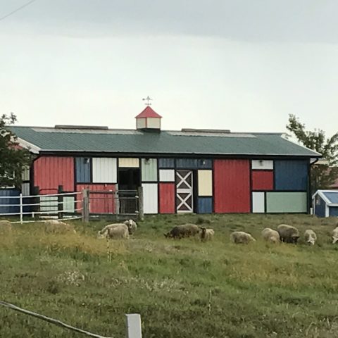 Sheep in the pasture near a large red and green barn