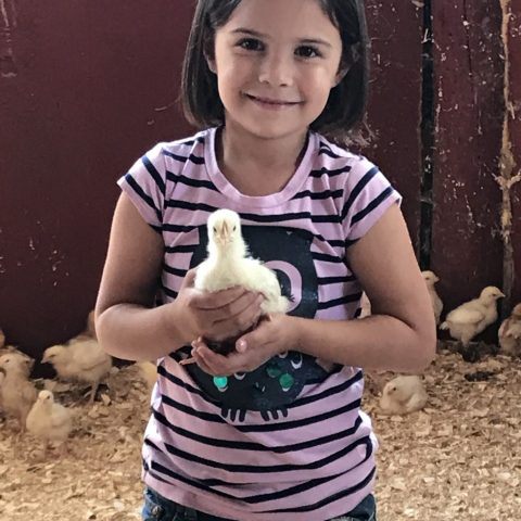 Young girl holding a chick and smiling at the camera