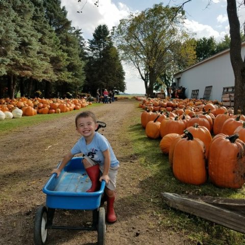 small boy giving a cheesy smile next to a bunch of large pumpkins and he is trying to sit in his blue wagon.