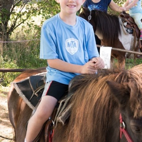 small boy riding a horse on the pony ride activity