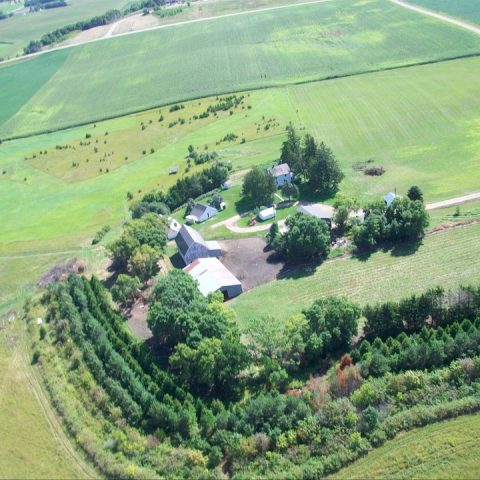 aerial shot of the farm