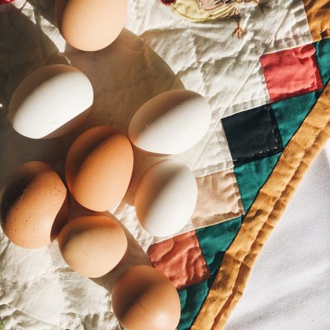 brown and white eggs on a tan quilt