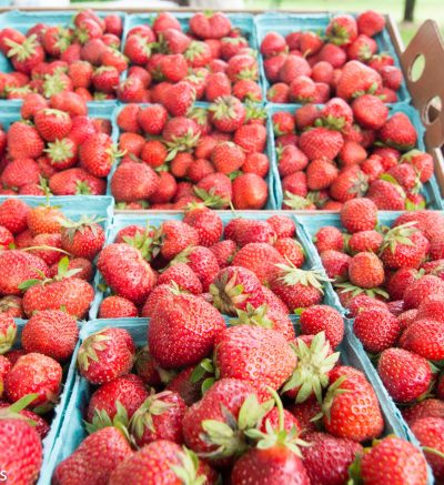 Strawberries in blue flats