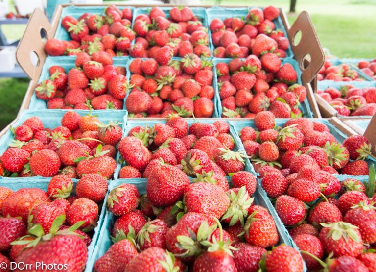 Strawberries in blue flats