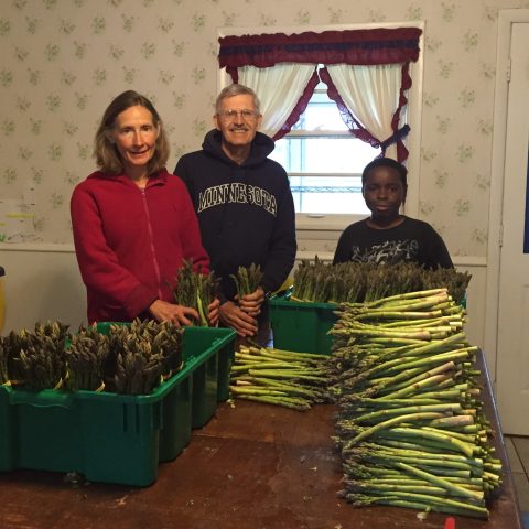 Piles of asparagus on the table with the family