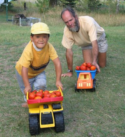 Young child and man pushing toy trucks full of tomatoes